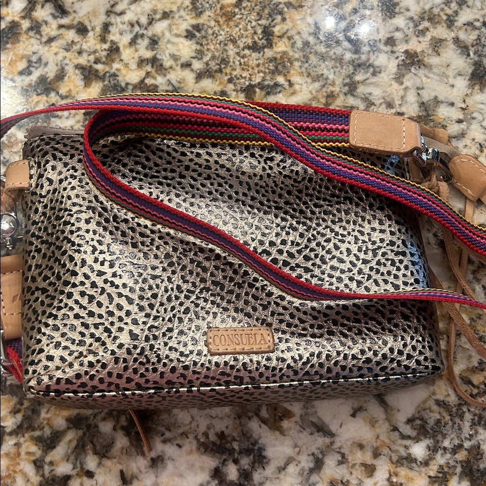 Consuela Tommy Downtown Crossbody Purse